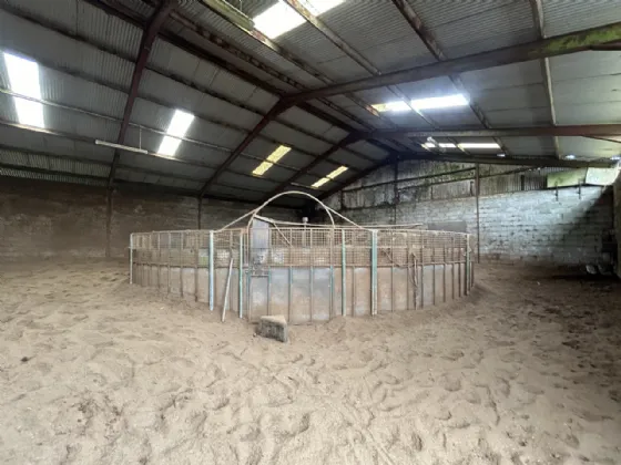 Photo of Mocklershill Stables, Mocklershill, Cashel, Co Tipperary