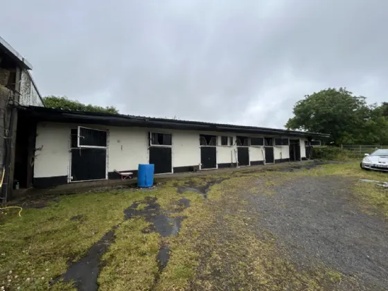 Photo of Mocklershill Stables, Mocklershill, Cashel, Co Tipperary