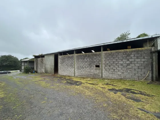 Photo of Mocklershill Stables, Mocklershill, Cashel, Co Tipperary