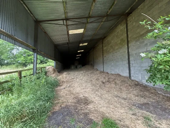 Photo of Mocklershill Stables, Mocklershill, Cashel, Co Tipperary