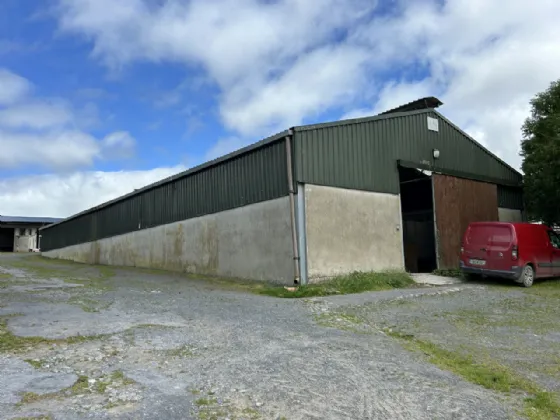 Photo of Mocklershill Stables, Mocklershill, Cashel, Co Tipperary