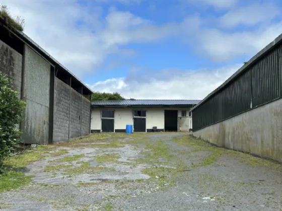 Photo of Mocklershill Stables, Mocklershill, Cashel, Co Tipperary