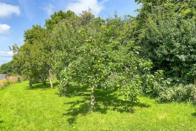 Photo of Mill House On Circa 6 Acres, Newtown, Kells, Co. Kilkenny, R95 CD88