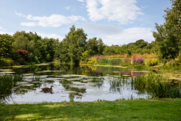 Photo of Beckett Woods, Brighton Road, Foxrock, Dublin 18