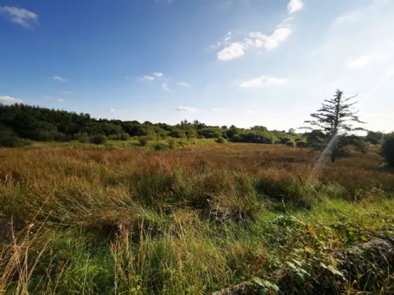 Photo of Old Castlebar Road, Swinford, Co. Mayo