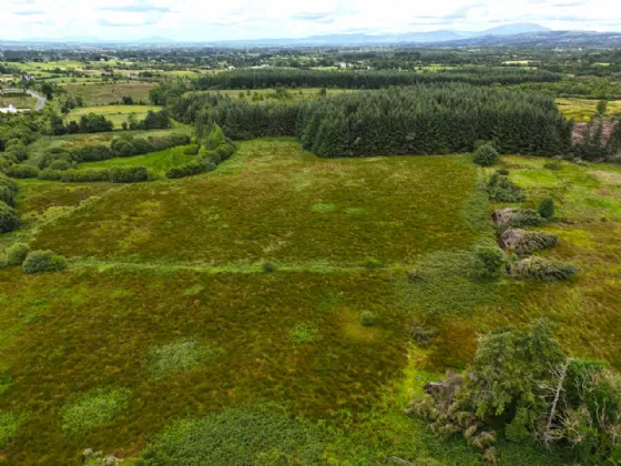 Photo of Old Castlebar Road, Swinford, Co. Mayo