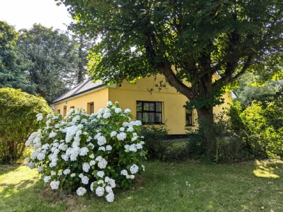 Photo of Bruijns Tree Cottage, Knockaraha East, Belclare, Westport, Co Mayo, F28 EE36