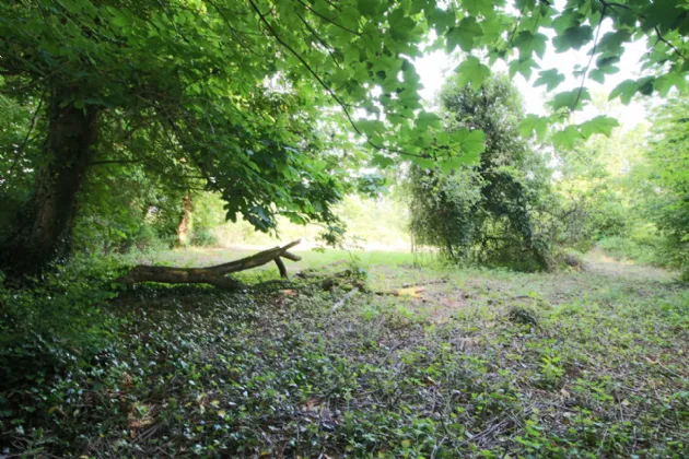 Photo of Killyfad Cottage, Killyfad, Dromod, Co. Leitrim, N41 DA26