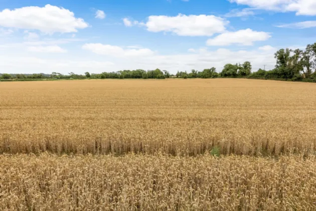 Photo of Lands, Dorea, Rathfeigh, Navan, Co Meath