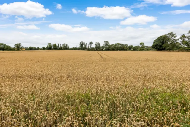 Photo of Lands, Dorea, Rathfeigh, Navan, Co Meath