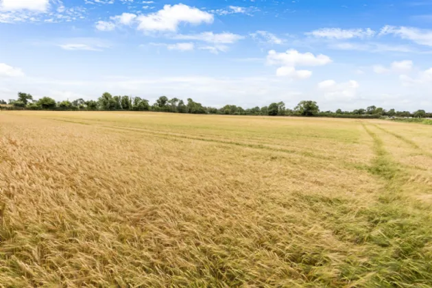 Photo of Lands, Dorea, Rathfeigh, Navan, Co Meath