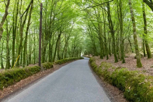 Photo of Ballyteige Lodge, Ballyteige, Tinahely, Arklow, County Wicklow, Y14WF83