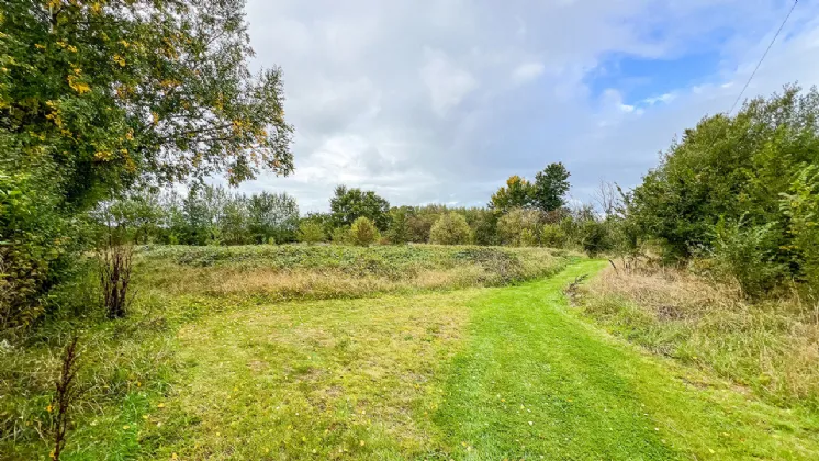 Photo of The Beeches On Circa 1.28 Acres, Smithstown, Thomastown, Co Kilkenny, R95 R974