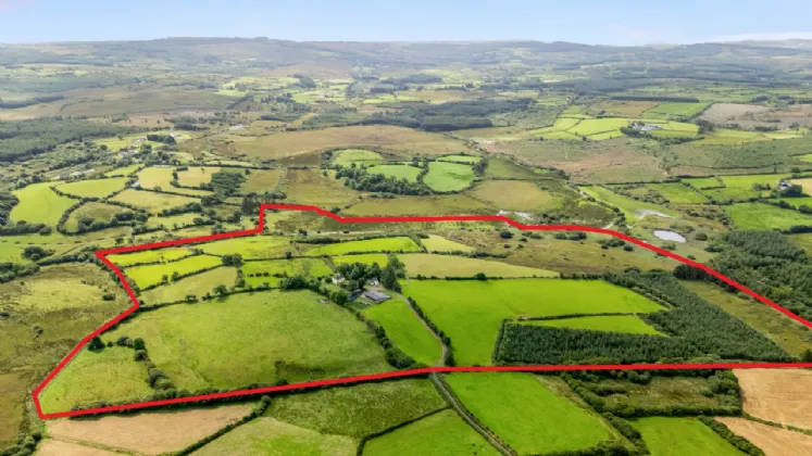 Photo of Farm On C. 70 Acres with Residence, Knockmore, Kilmaley, Ennis, Co Clare, V95 YP38