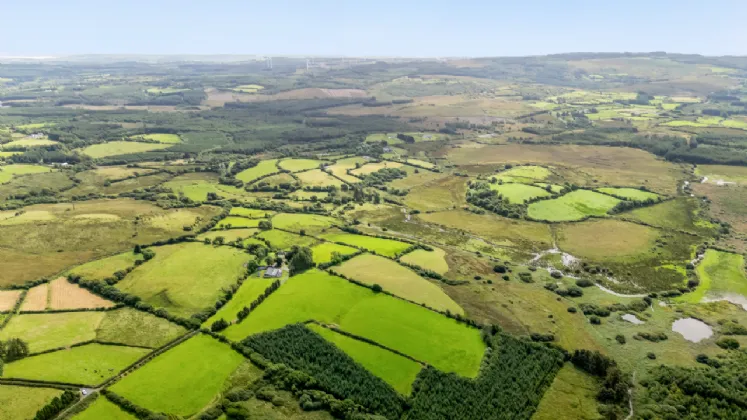 Photo of Farm On C. 70 Acres with Residence, Knockmore, Kilmaley, Ennis, Co Clare, V95 YP38