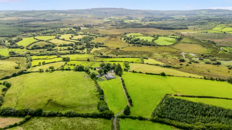 Photo of Farm On C. 70 Acres with Residence, Knockmore, Kilmaley, Ennis, Co Clare, V95 YP38