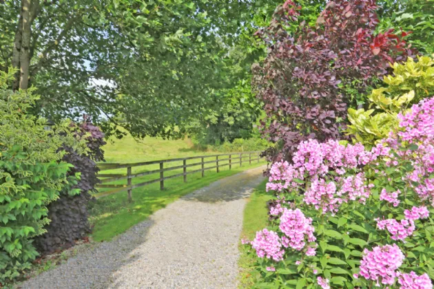 Photo of Ballintemple House, Cloughjordan, Co. Tipperary, E53 RY95