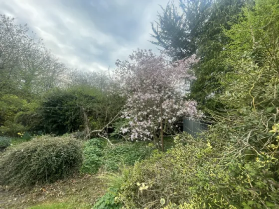 Photo of Dún-An-Óir, Templemore Road, Roscrea, Co. Tipperary, E53 X316