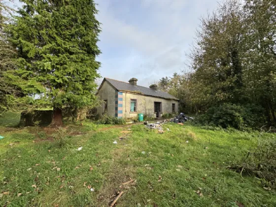 Photo of Killasser, Swinford, Co. Mayo, F12 P657