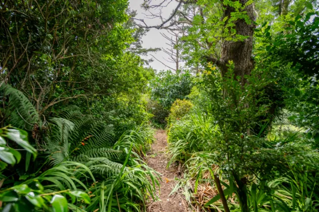 Photo of Blackthorn Cottage, Ballycarnahan, Caherdaniel, Co. Kerry, V93 D6P0