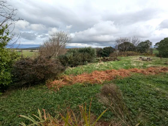 Photo of Bungalow With Cottage, Aillemore, Killeen, Louisburgh, Co Mayo, F28 PX26