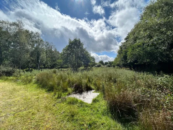 Photo of Mangerton Vista, Reen, Ross Road, Killarney, Co. Kerry, V93 V2T4