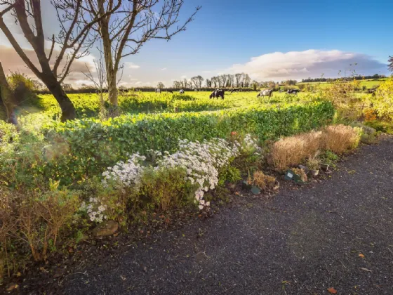 Photo of Lavally, Clerihan, Clonmel, Co. Tipperary, E91 PN82