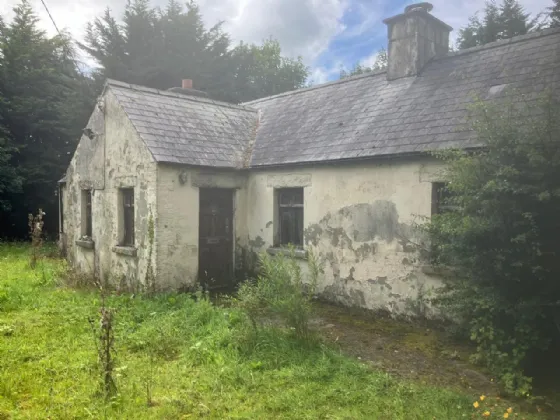 Photo of Castleruddery, Stratford-On-Slaney, Baltinglass, Co. Wicklow