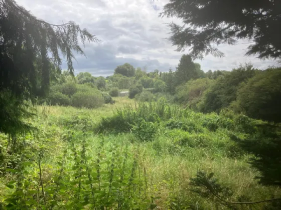 Photo of Castleruddery, Stratford-On-Slaney, Baltinglass, Co. Wicklow