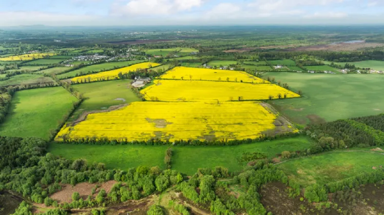 Photo of Corduff Lands - Lot 2, On Approx. 27 Hec (68.45 Acres), Coill Dubh, County Kildare, W91 C898