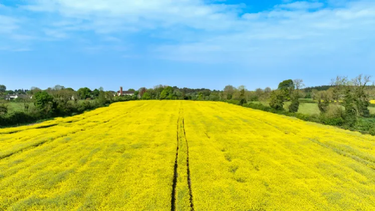 Photo of Corduff Lands - Lot 2, On Approx. 27 Hec (68.45 Acres), Coill Dubh, County Kildare, W91 C898