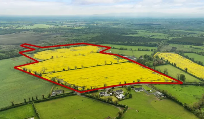 Photo of Corduff Lands - Lot 2, On Approx. 27 Hec (68.45 Acres), Coill Dubh, County Kildare, W91 C898