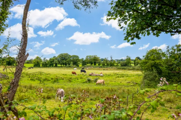 Photo of Cuilleen, Abbey, Loughrea, Co. Galway