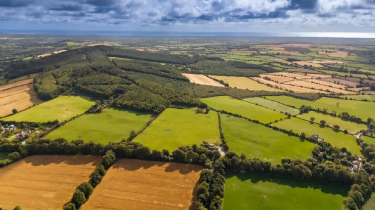 Photo of Rockspring House & Farm (The Entire), On Approx. 62.33 Ha (154 Acres), Ferns, County Wexford, Y21 TY29