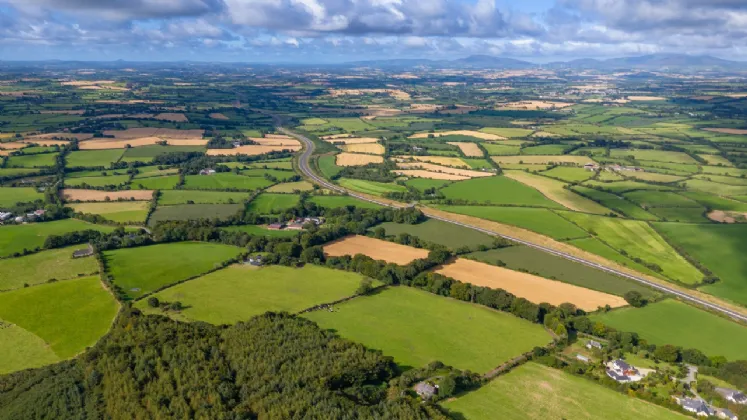 Photo of Rockspring House & Farm (The Entire), On Approx. 62.33 Ha (154 Acres), Ferns, County Wexford, Y21 TY29