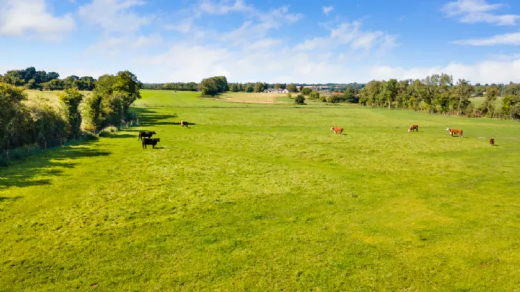 Photo of Willowbrook Farm, Ballygortagh, Summerhill, Co. Meath