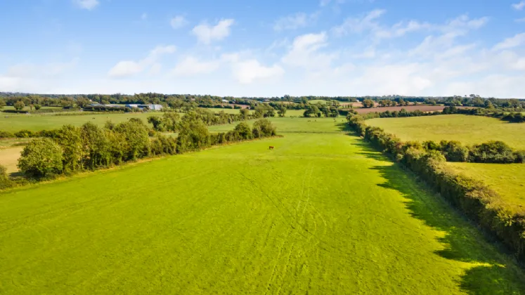 Photo of Willowbrook Farm, Ballygortagh, Summerhill, Co. Meath