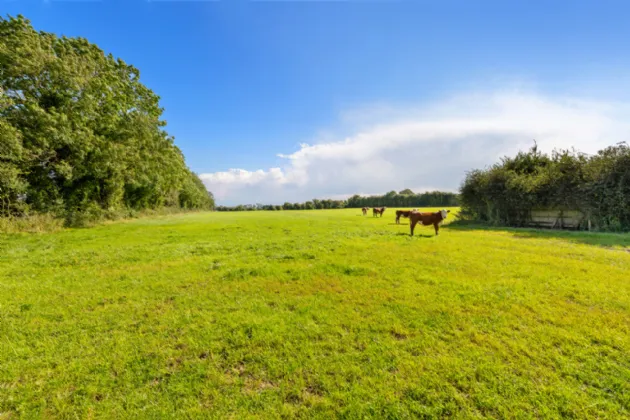 Photo of Willowbrook Farm, Ballygortagh, Summerhill, Co. Meath