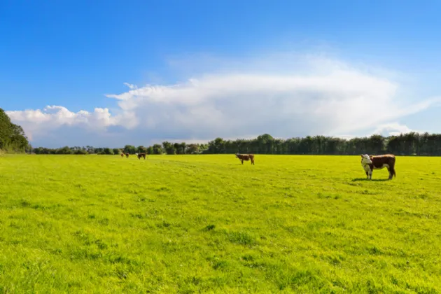 Photo of Willowbrook Farm, Ballygortagh, Summerhill, Co. Meath