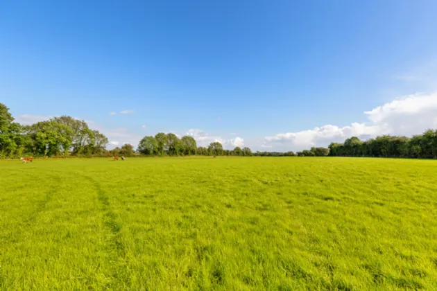 Photo of Willowbrook Farm, Ballygortagh, Summerhill, Co. Meath