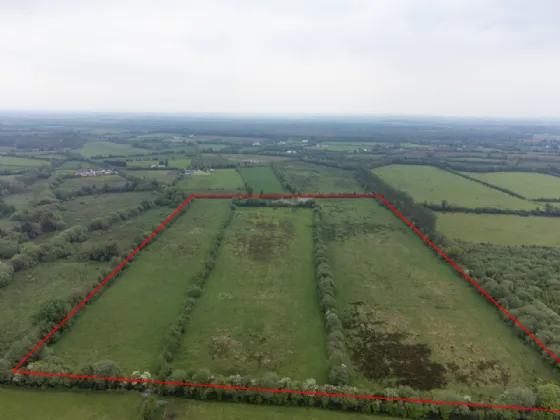 Photo of 22.86 Acres, Cappagh North, Portlaoise, Co. Laois