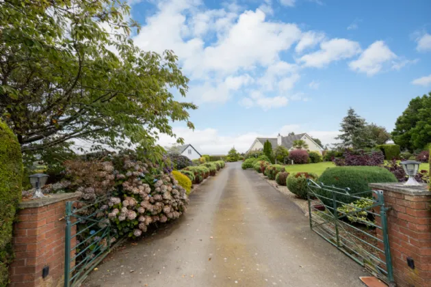 Photo of Cherry Tree, Knockavotha, The Rock, Gorey, Co. Wexford, Y25N563