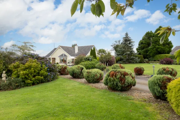 Photo of Cherry Tree, Knockavotha, The Rock, Gorey, Co. Wexford, Y25N563