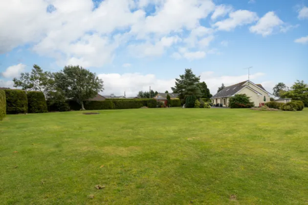 Photo of Cherry Tree, Knockavotha, The Rock, Gorey, Co. Wexford, Y25N563