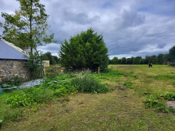 Photo of The Swallows, Ballina,, Ballycumber, Co. Offaly, R35PN44