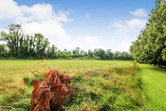 Photo of Mount Ashley, Glebe, Roosky, Co. Roscommon, N41 CY93