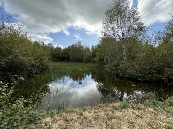 Photo of Kilmore, Foxford, Co. Mayo