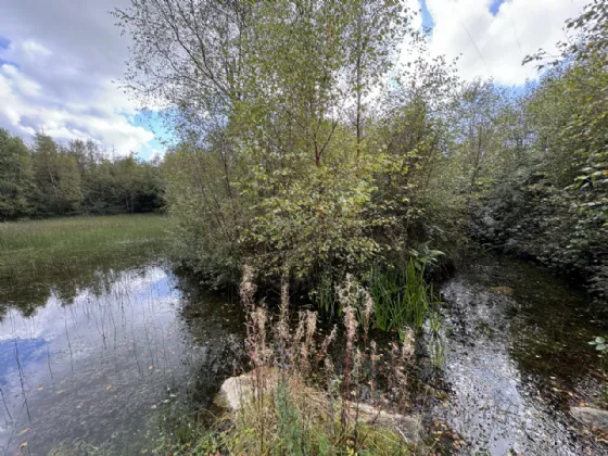 Photo of Kilmore, Foxford, Co. Mayo