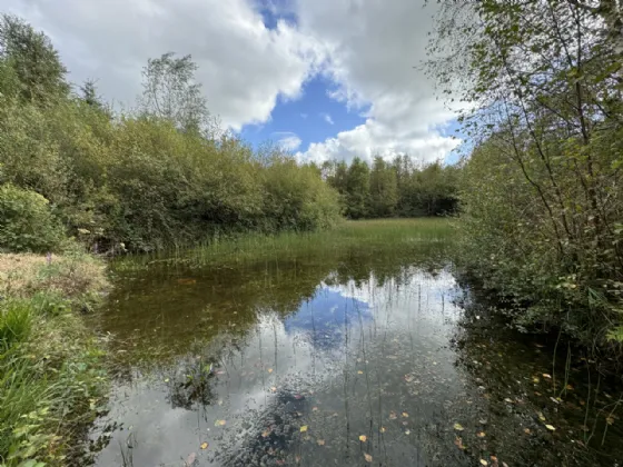 Photo of Kilmore, Foxford, Co. Mayo