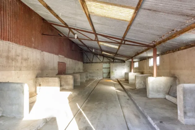 Photo of 40 Acre Residential Farm, Fleenstown, The Ward, Co. Meath, D11 RW98